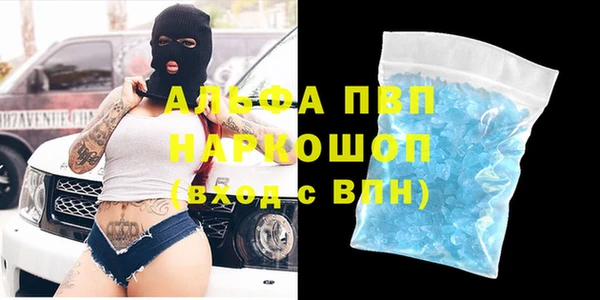 стаф Вязники